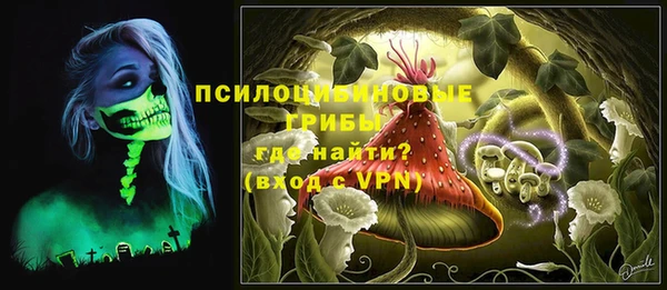 хмурый Карпинск