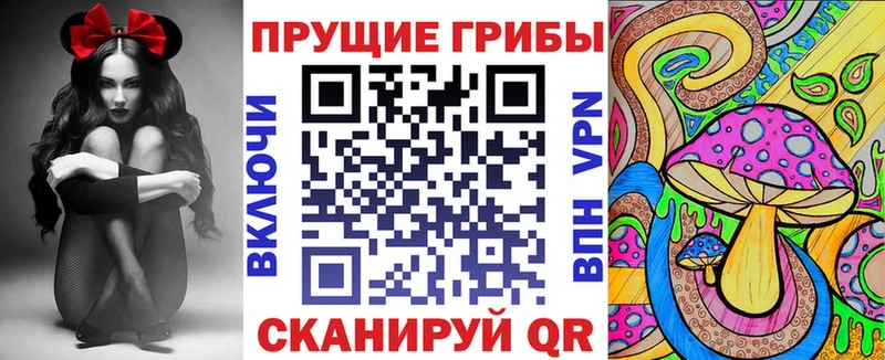 Псилоцибиновые грибы мицелий  Купить где  Балашов 